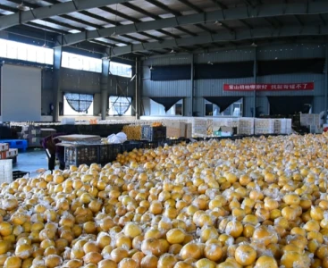 順豐快遞給手動液壓搬運車消毒，保障生鮮瓜果食品安全